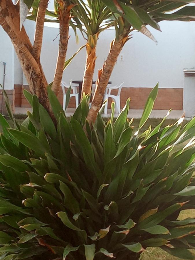 Villa Casa Sol Nascente à Barra de Jacuípe Extérieur photo